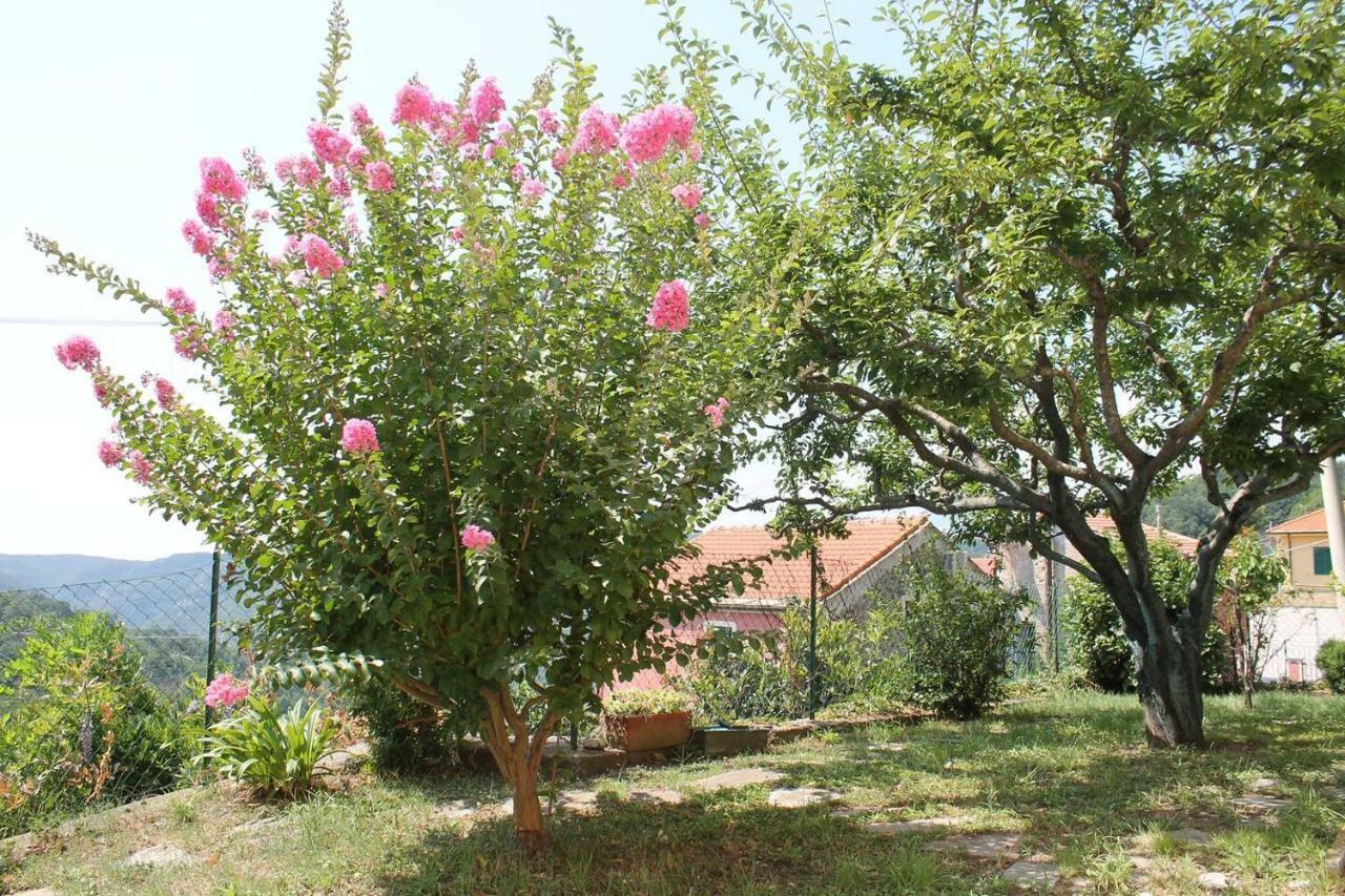 Apartament La Casetta Di Graziella Vezzi Portio Zewnętrze zdjęcie